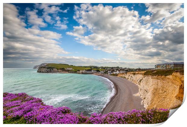 Freshwater Bay Sea Thrift Print by Wight Landscapes