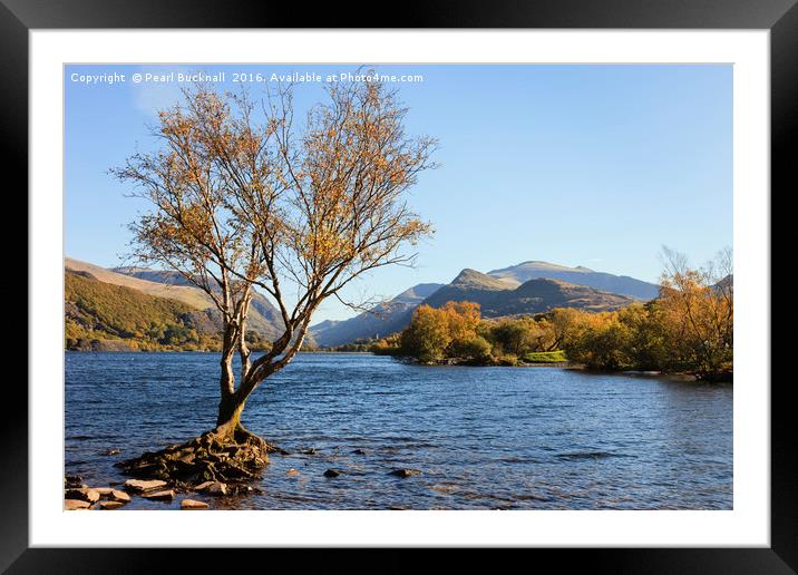 Llyn Padarn Llanberis Lake in Autumn Framed Mounted Print by Pearl Bucknall