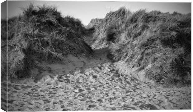 Sand Dunes at Croyde Canvas Print by patricia cannock