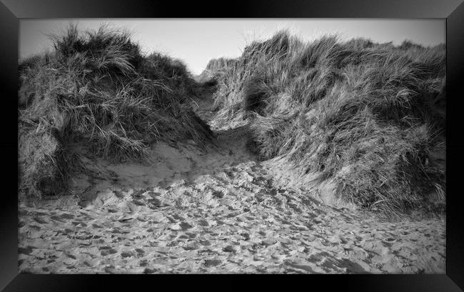 Sand Dunes at Croyde Framed Print by patricia cannock
