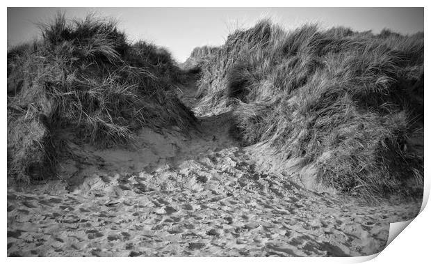 Sand Dunes at Croyde Print by patricia cannock