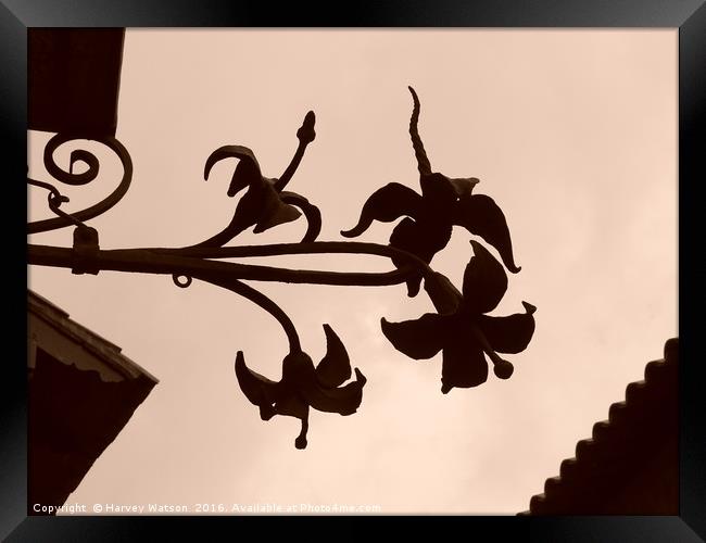 Silhouette of flowers  Framed Print by Harvey Watson