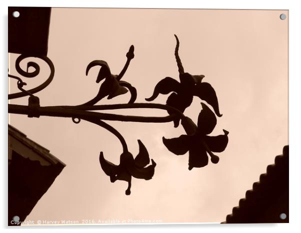 Silhouette of flowers  Acrylic by Harvey Watson