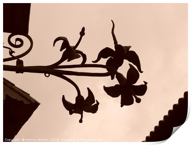 Silhouette of flowers  Print by Harvey Watson