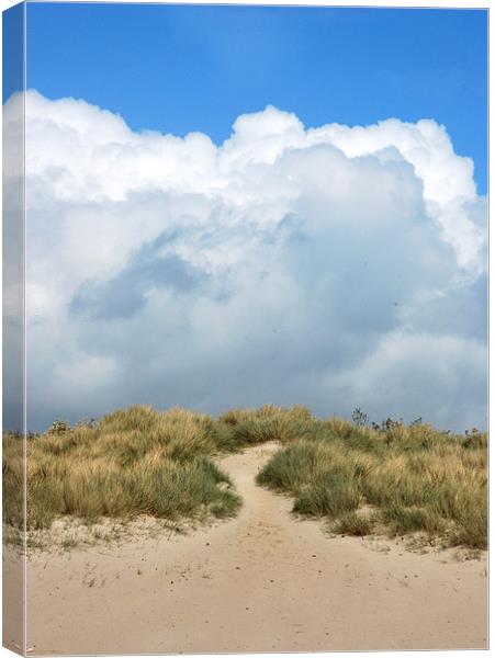 Path to the sky Canvas Print by Michelle O'Shea