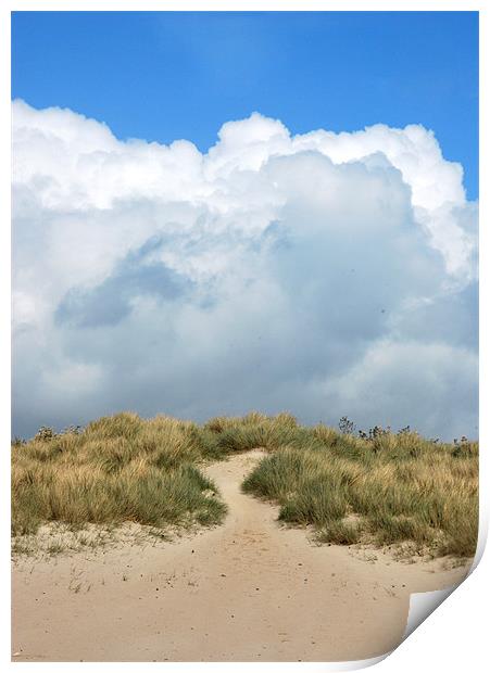 Path to the sky Print by Michelle O'Shea