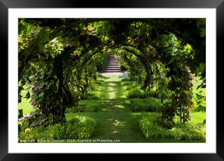Green Gateway Framed Mounted Print by David Chennell