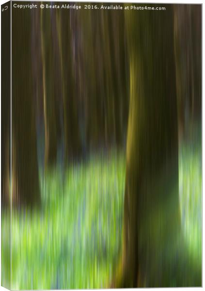 Dreamy forest Canvas Print by Beata Aldridge