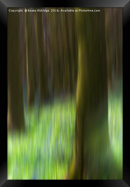 Dreamy forest Framed Print by Beata Aldridge