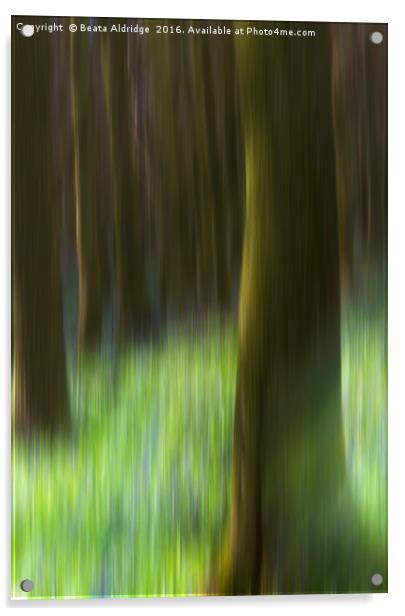 Dreamy forest Acrylic by Beata Aldridge