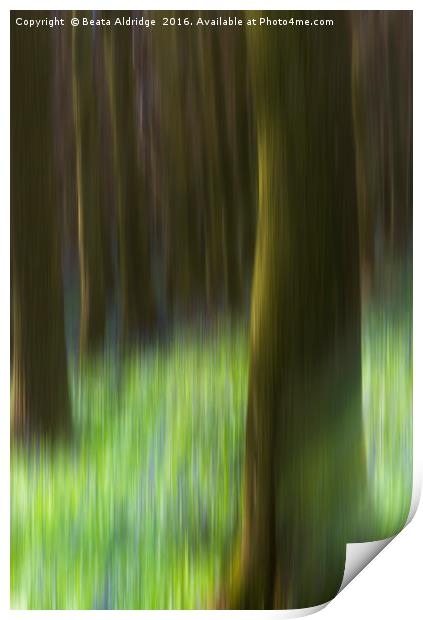 Dreamy forest Print by Beata Aldridge
