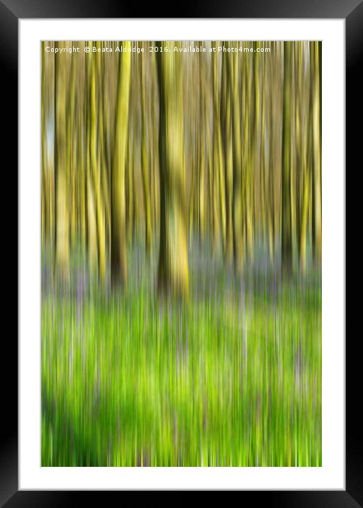Dreamy forest Framed Mounted Print by Beata Aldridge