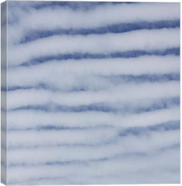 Macrel Sky over London Canvas Print by David French