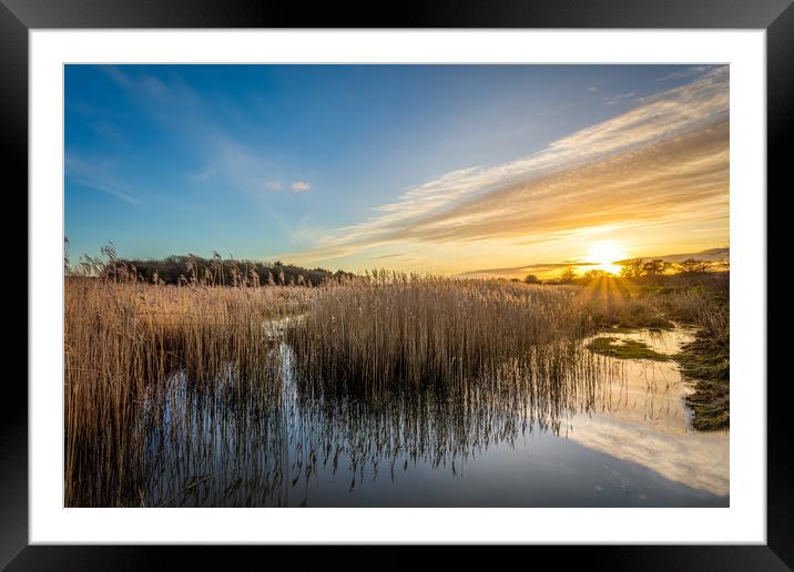 Yarmouth Salt Marsh Sunset Framed Mounted Print by Wight Landscapes