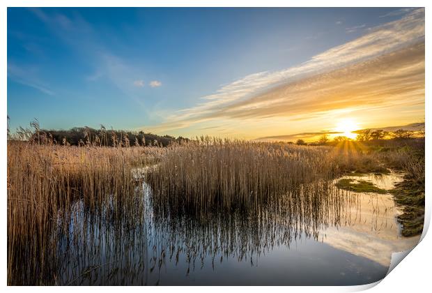 Yarmouth Salt Marsh Sunset Print by Wight Landscapes