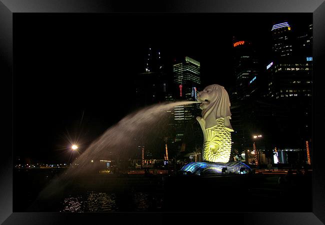 Merlion sculpture in Singapore at night Framed Print by Douglas Kerr