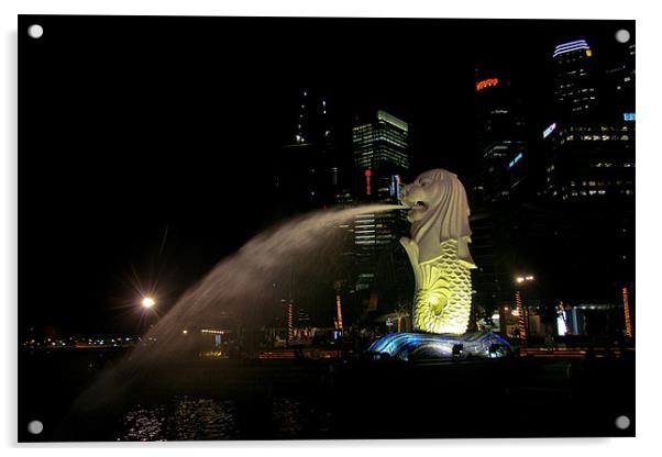 Merlion sculpture in Singapore at night Acrylic by Douglas Kerr