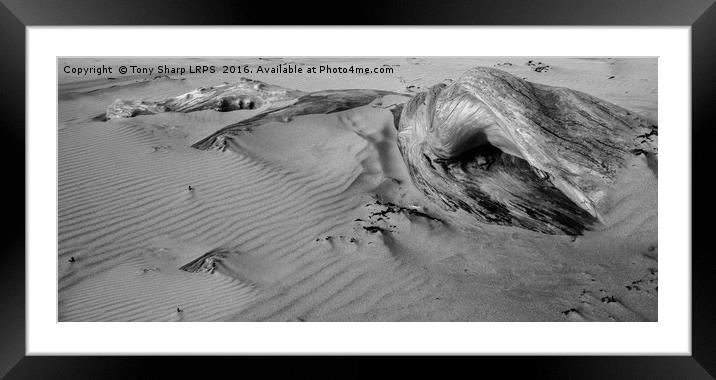 Buried in the Sand Framed Mounted Print by Tony Sharp LRPS CPAGB