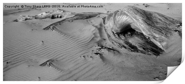 Buried in the Sand Print by Tony Sharp LRPS CPAGB