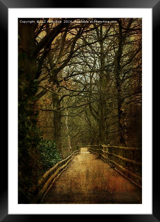 The Path Ahead Framed Mounted Print by LIZ Alderdice