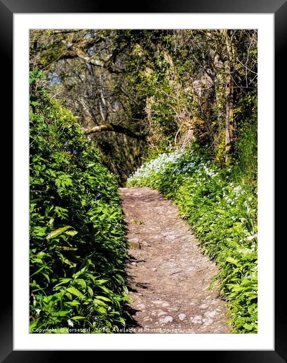 Springtime In Dorset Framed Mounted Print by Susie Peek