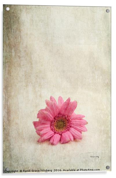 Single Pink Acrylic by Randi Grace Nilsberg
