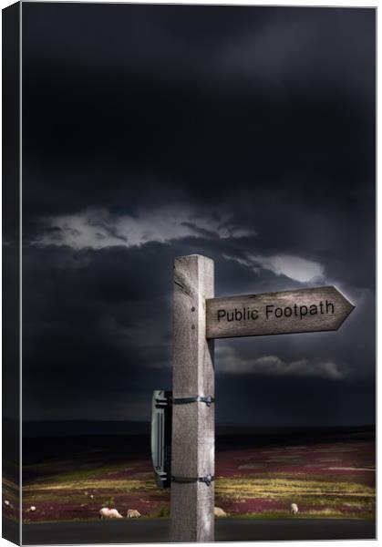 Footpath Sign Canvas Print by David Irving