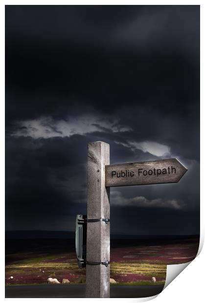 Footpath Sign Print by David Irving