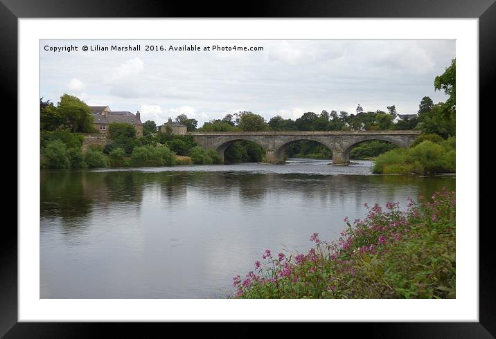 Kelso Bridge. Framed Mounted Print by Lilian Marshall