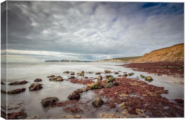 Compton Bay Canvas Print by Wight Landscapes