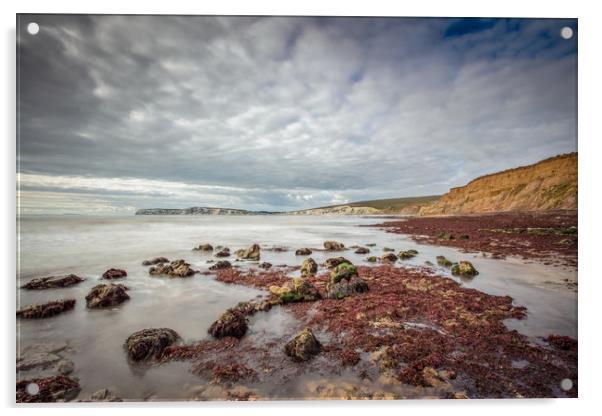 Compton Bay Acrylic by Wight Landscapes