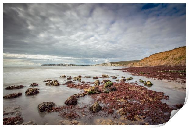 Compton Bay Print by Wight Landscapes