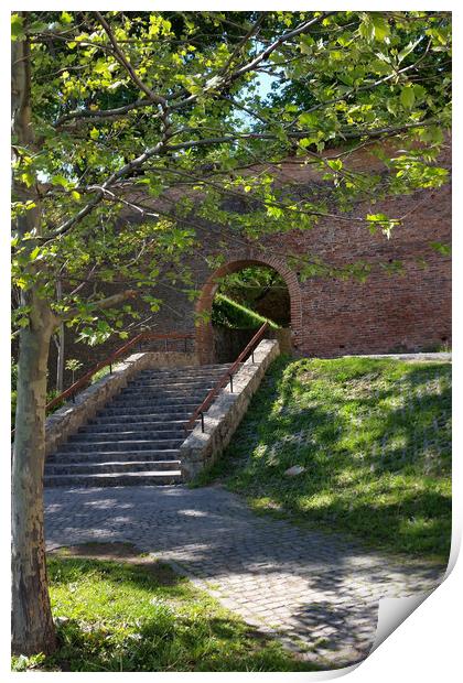 old fortress wall Print by Marinela Feier