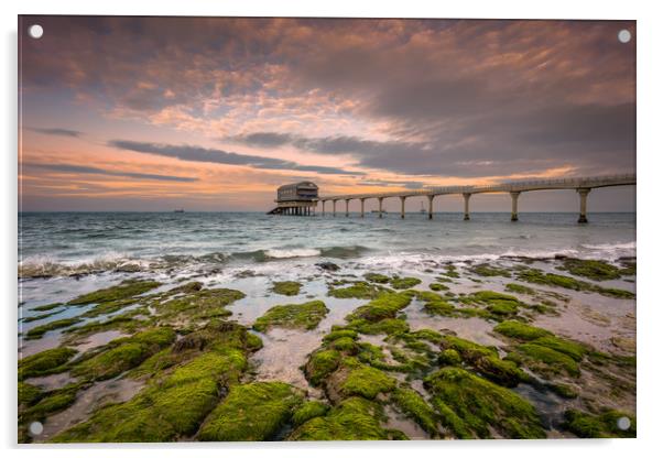 Bembridge Lifeboat Station #2 Acrylic by Wight Landscapes