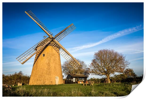 Bembridge Windmill in Winter Print by Wight Landscapes