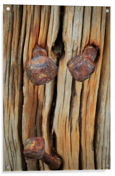 Wooden groynes  Acrylic by chris smith