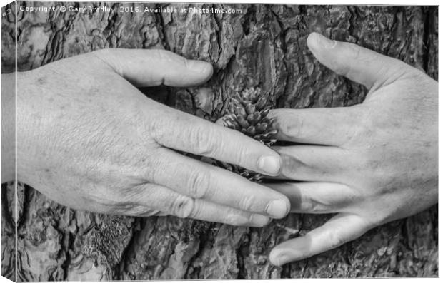 Tree Hug Canvas Print by GBR Photos