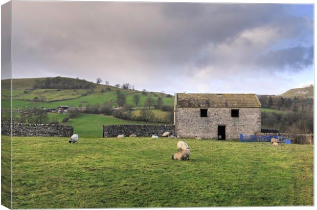 Yorkshire Dales  Canvas Print by chris smith