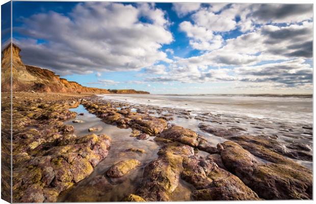 Brook Bay Beach Canvas Print by Wight Landscapes