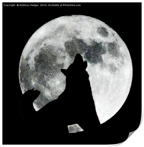 Moon Dog Print by Anthony Hedger