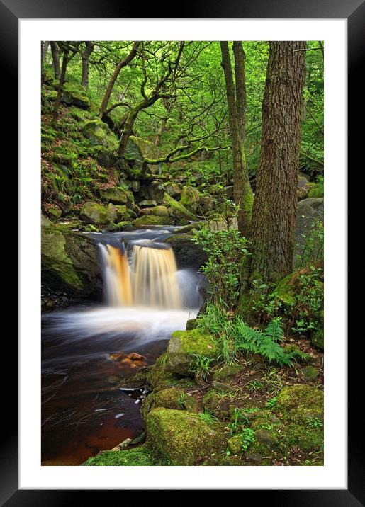 Padley Gorge                      Framed Mounted Print by Darren Galpin