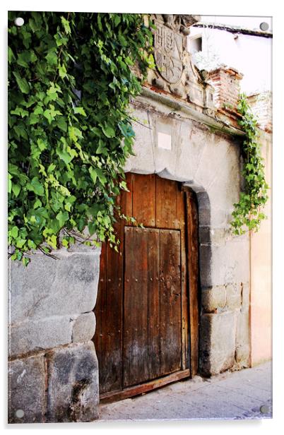 Ancient wooden gate Acrylic by Igor Krylov