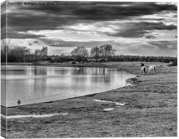 The New Forest Canvas Print by Angela Aird