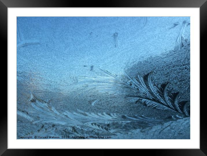 Frosty pattern  Framed Mounted Print by Harvey Watson