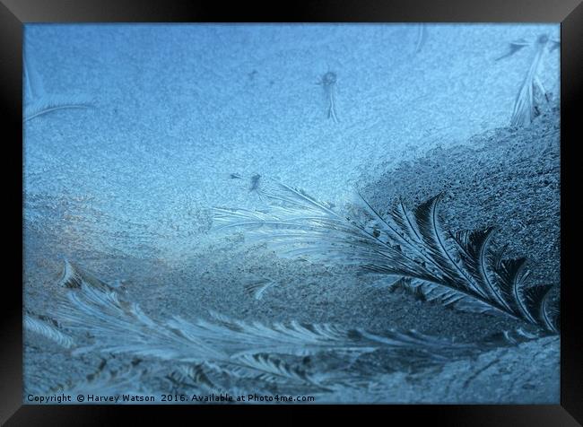 Frosty pattern  Framed Print by Harvey Watson