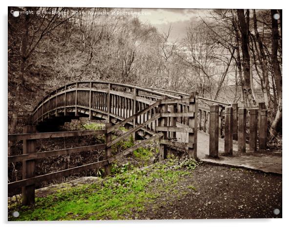 curved bridge Acrylic by Derrick Fox Lomax