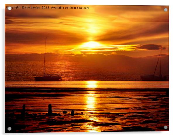 golden sunset Acrylic by sue davies