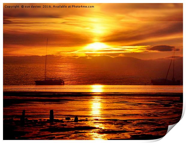 golden sunset Print by sue davies