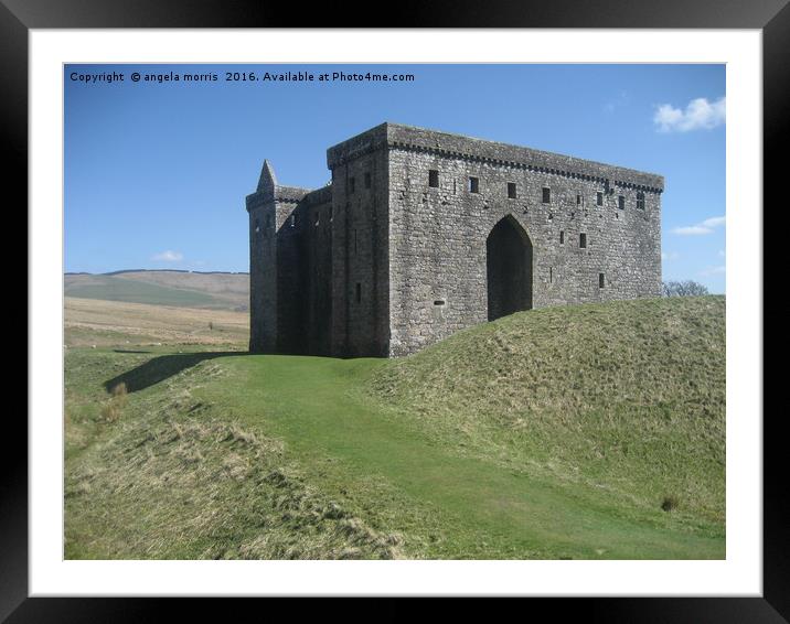 Hermitage Castle Framed Mounted Print by angela morris