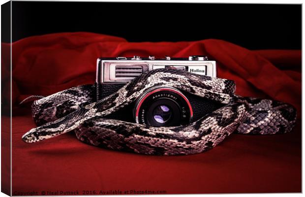 Snake on a Lens Canvas Print by Neal P